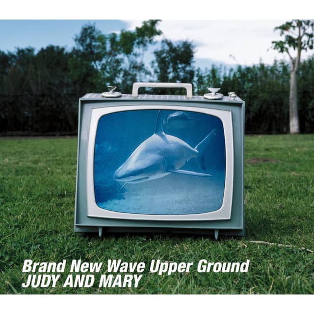 Album cover art for Brand New Wave Upper Ground
