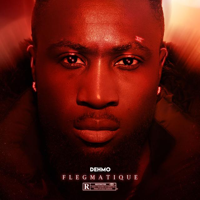 Album cover art for FLEGMATIQUE