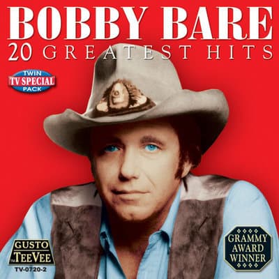 Album cover art for 20 Greatest Hits