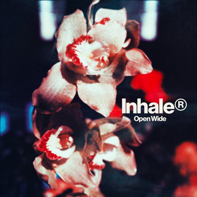 Album cover art for Open Wide