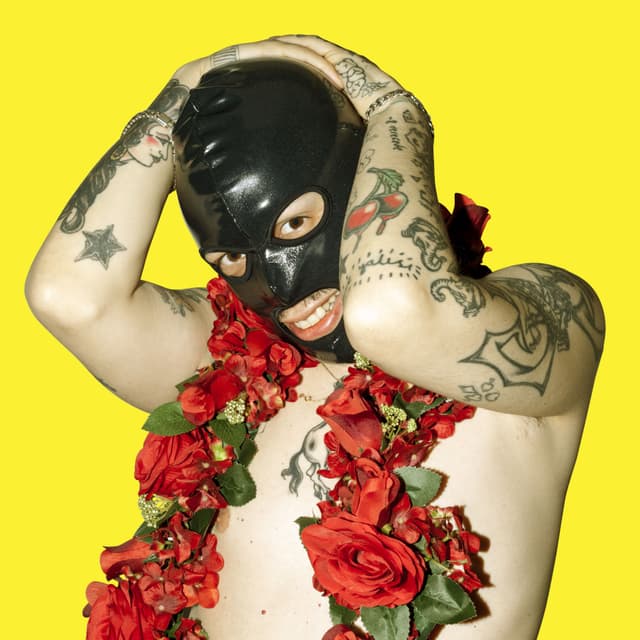 Album cover art for Fantezi Müzik