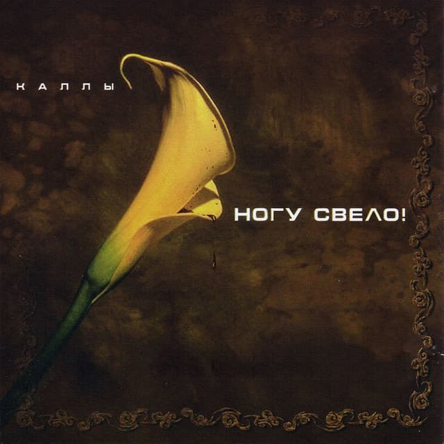 Album cover art for Каллы