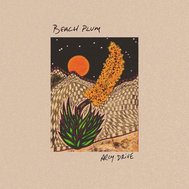 Album cover art for Beach Plum