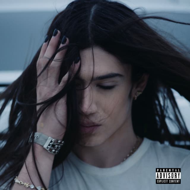 Album cover art for PALETA