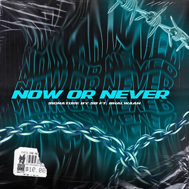 Album cover art for Now or Never