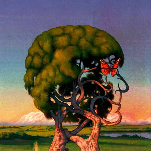 Album cover art for SPRING