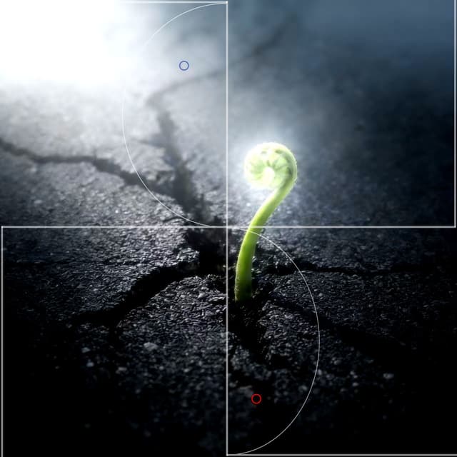 Album cover art for 災愛