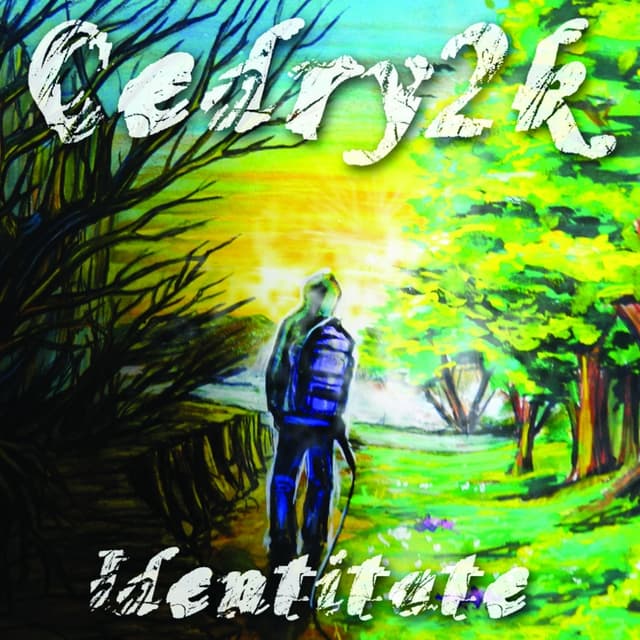 Album cover art for Identitate