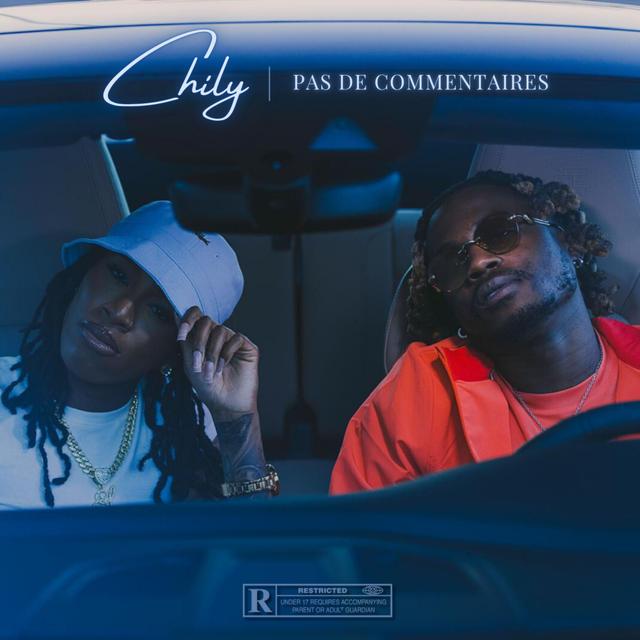 Album cover art for Pas De Commentaire