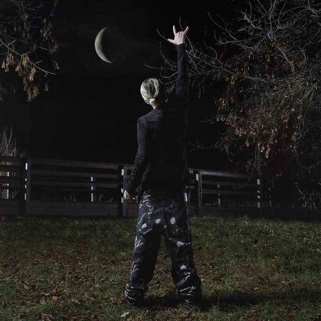 Album cover art for NIGHT FOR EVER