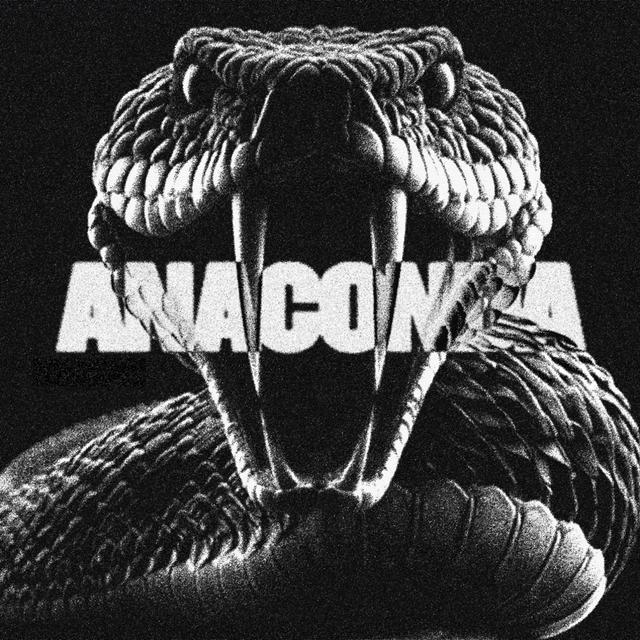 Album cover art for Anaconda - Single