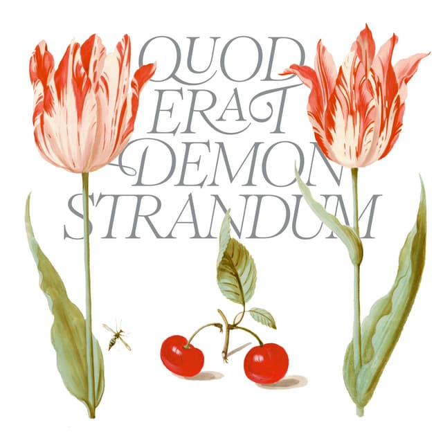 Album cover art for Q.E.D