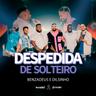 Despedida De Solteiro