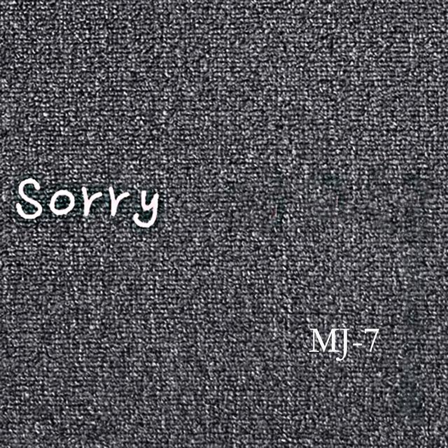 Album cover art for Sorry