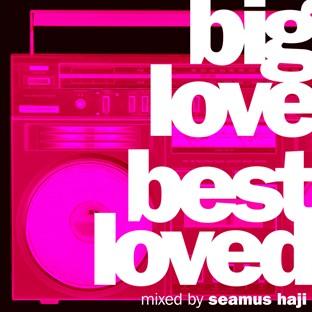 Album cover art for Big Love: Best Loved (mixed By Seamus Haji)