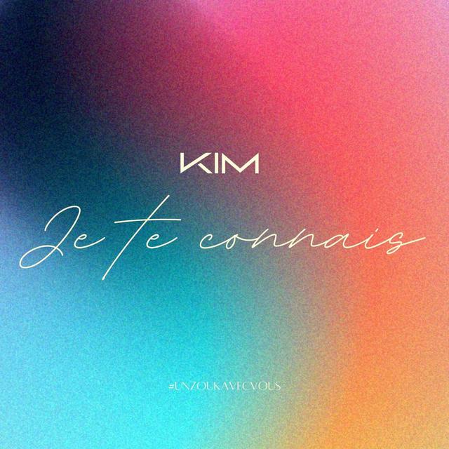 Album cover art for Je te connais