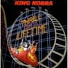 Iron Eagle (Never Say Die)