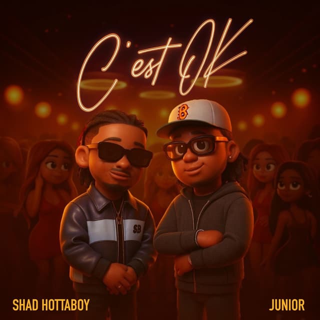 Album cover art for C'est OK