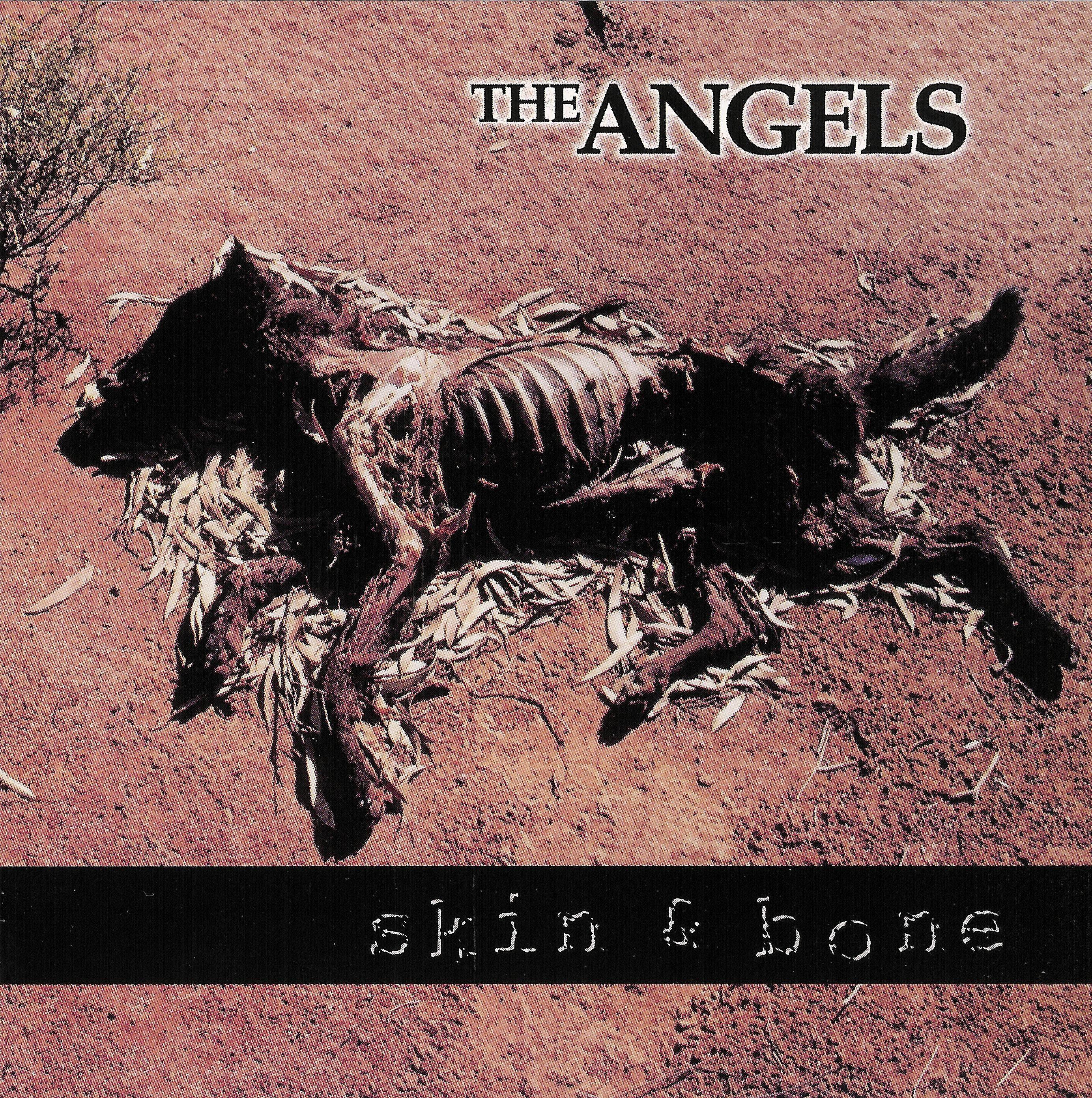 Skin & Bone