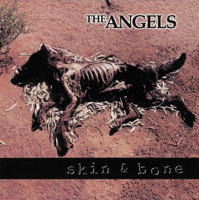 Album cover art for Skin & Bone