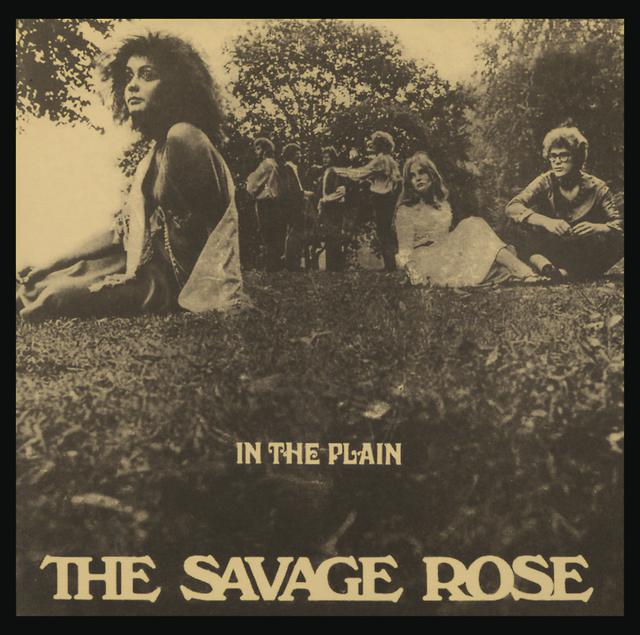 Album cover art for In The Plain