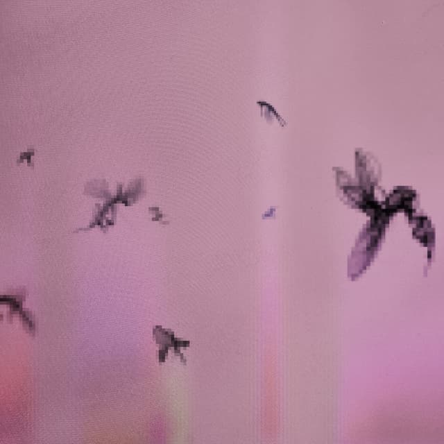 Album cover art for AA   BOUQUET   FOR   YOUR   180   FACE