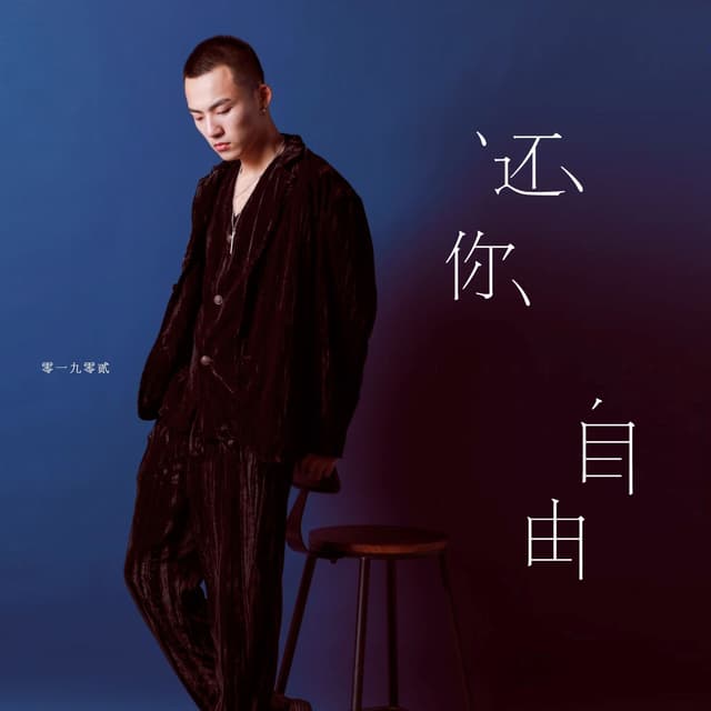 Album cover art for 还你自由