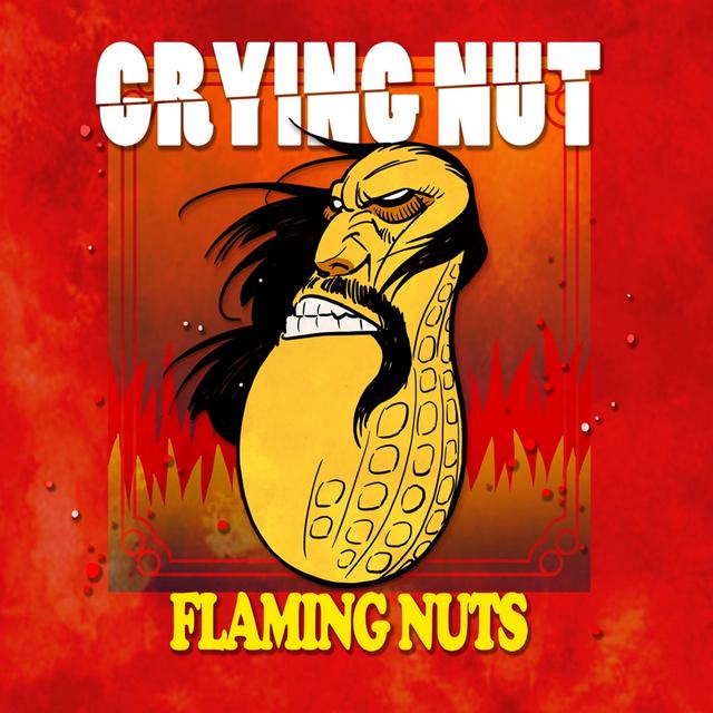 Album cover art for Flaming Nuts