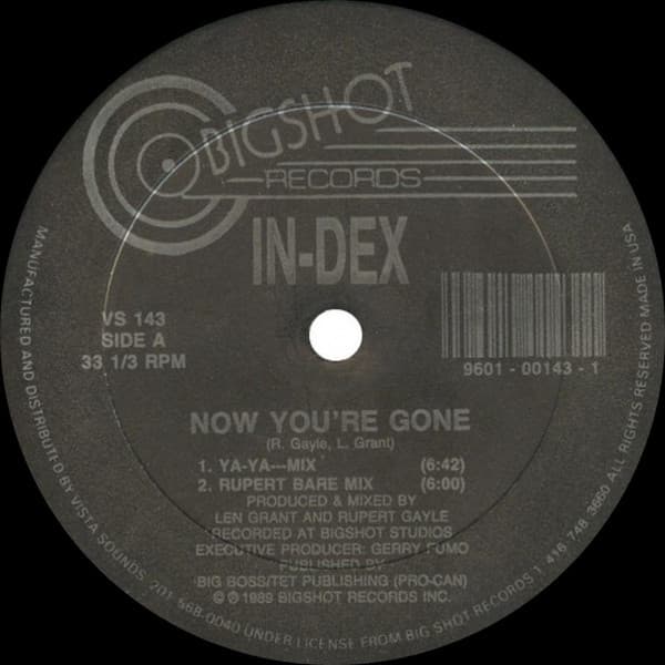 Album cover art for Now You're Gone