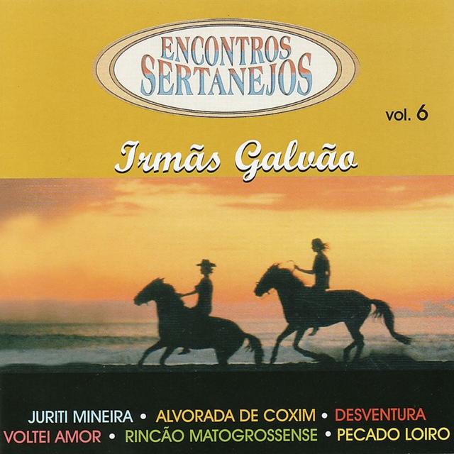 Album cover art for Encontros Sertanejos, Vol. 6