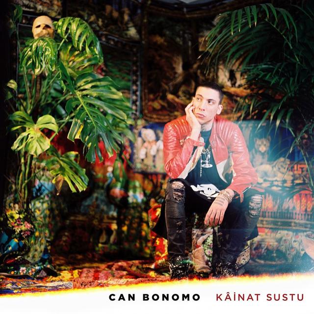 Album cover art for Kâinat Sustu