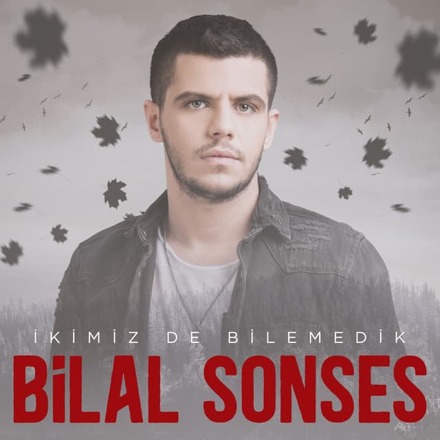 Album cover art for İkimiz de Bilemedik