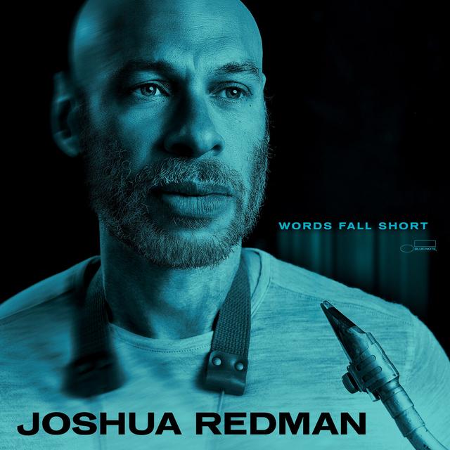 Album cover art for Words Fall Short