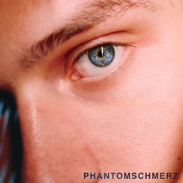Album cover art for Phantomschmerz