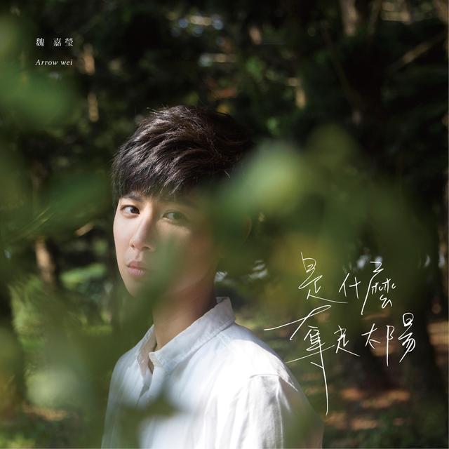 Album cover art for 是什麼奪走太陽