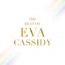 Tall Trees in Georgia