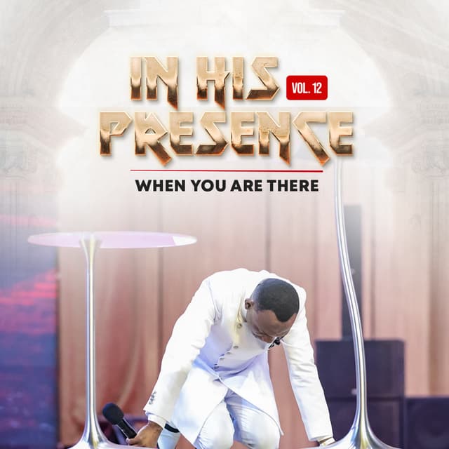 Album cover art for In His Presence, Vol. 12 - When You Are There