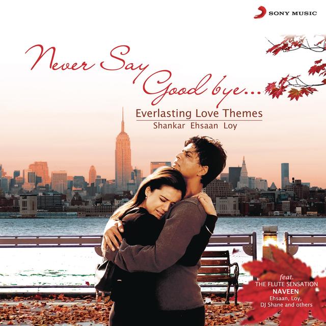 Album cover art for Never Say Good Bye