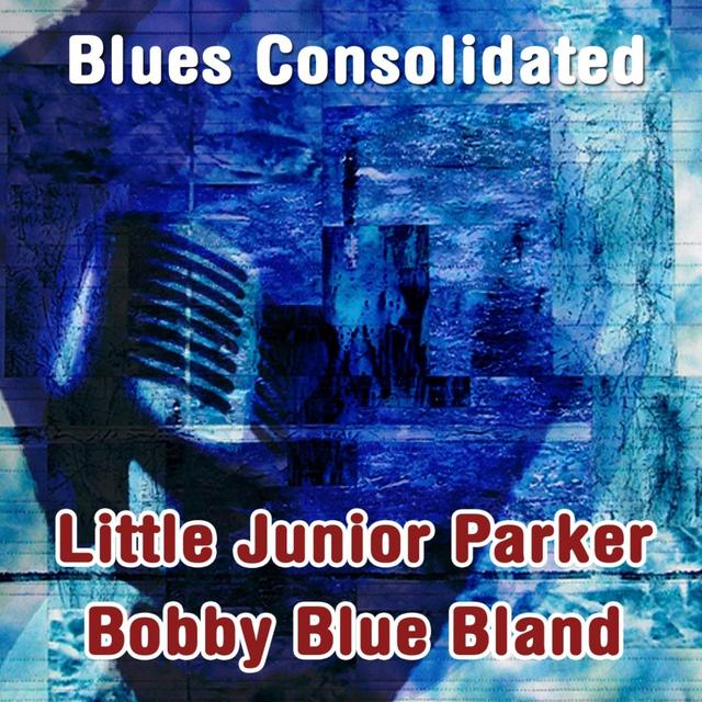 Album cover art for Blues Consolidated