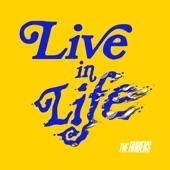 Album cover art for Live in Life