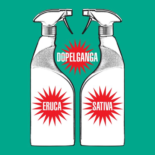 Album cover art for Dopelganga