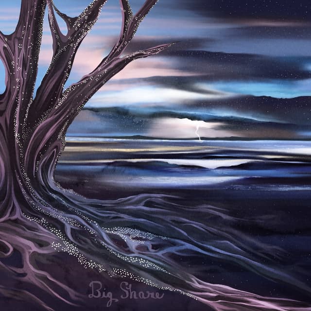 Album cover art for Big Share