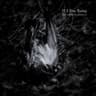 Void (Acceptance) (Live at Bloom)