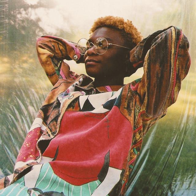 Album cover art for The Leo Sun Sets