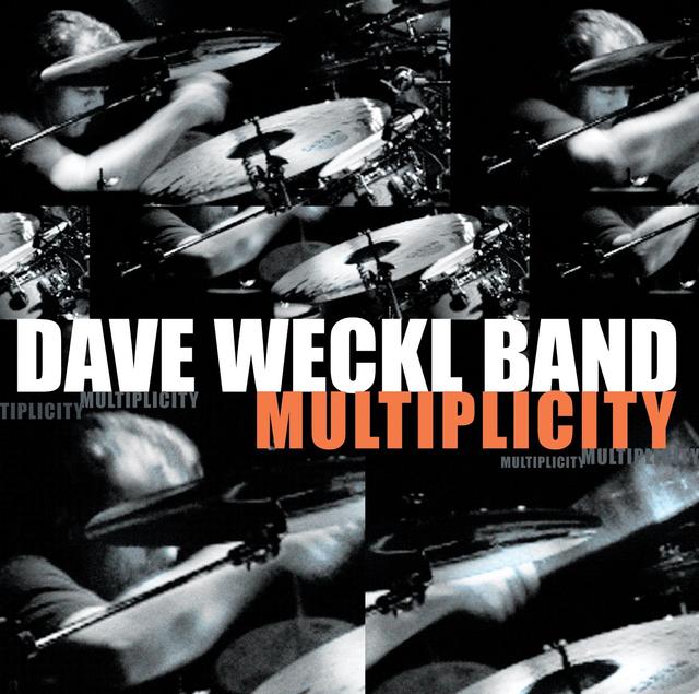 Album cover art for Multiplicity