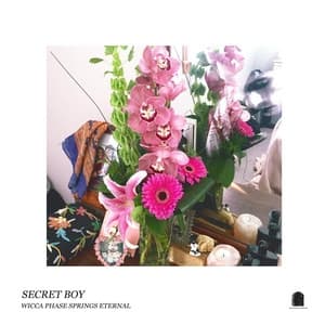 Album cover art for Secret Boy