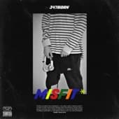 Album cover art for Misfit*