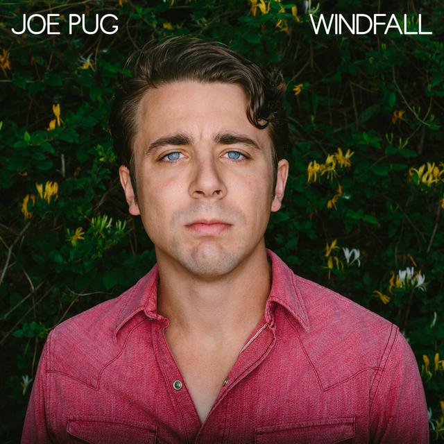 Album cover art for Windfall