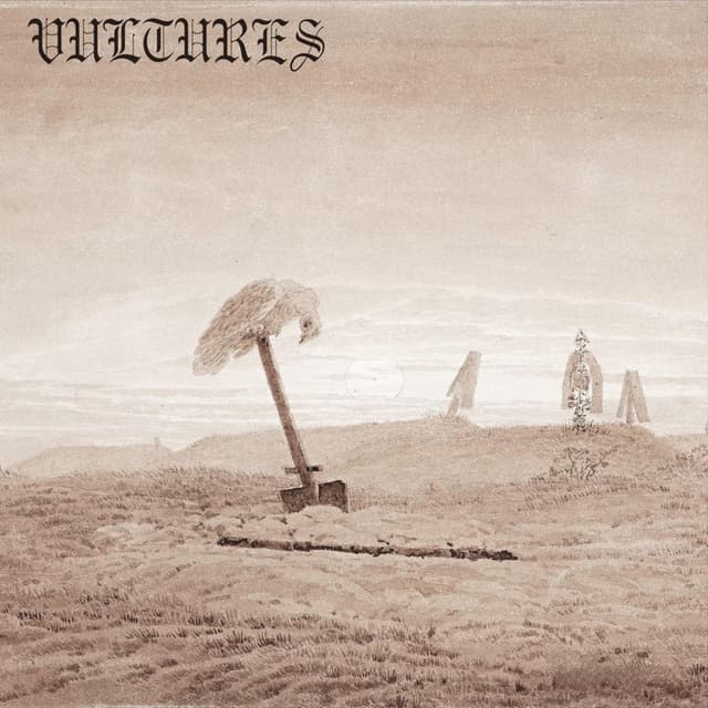 Album cover art for Vultures Pack