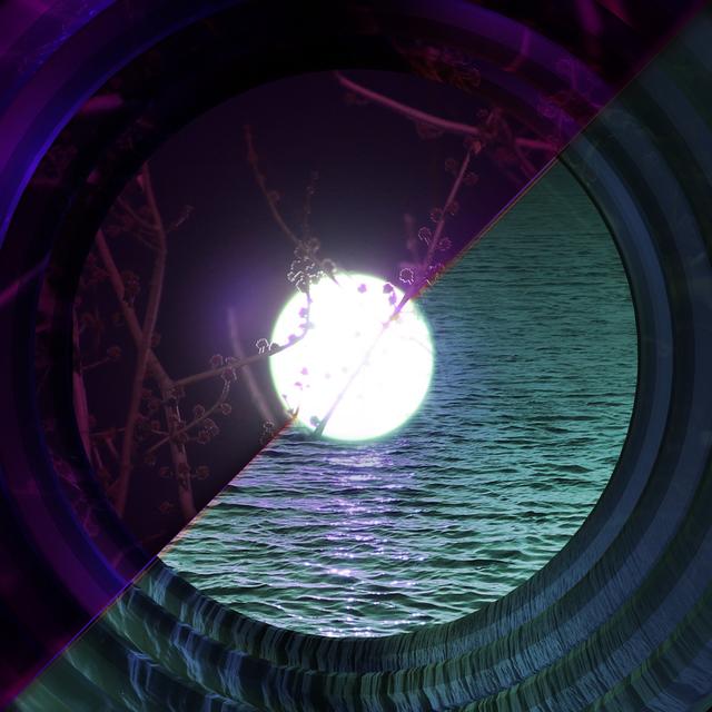 Album cover art for Syncorswim